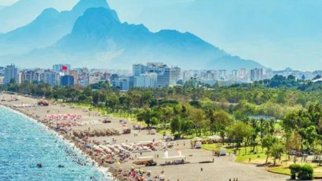 Antalya ve Alanya sokaklarında en çok onları görmemiz olası! 1