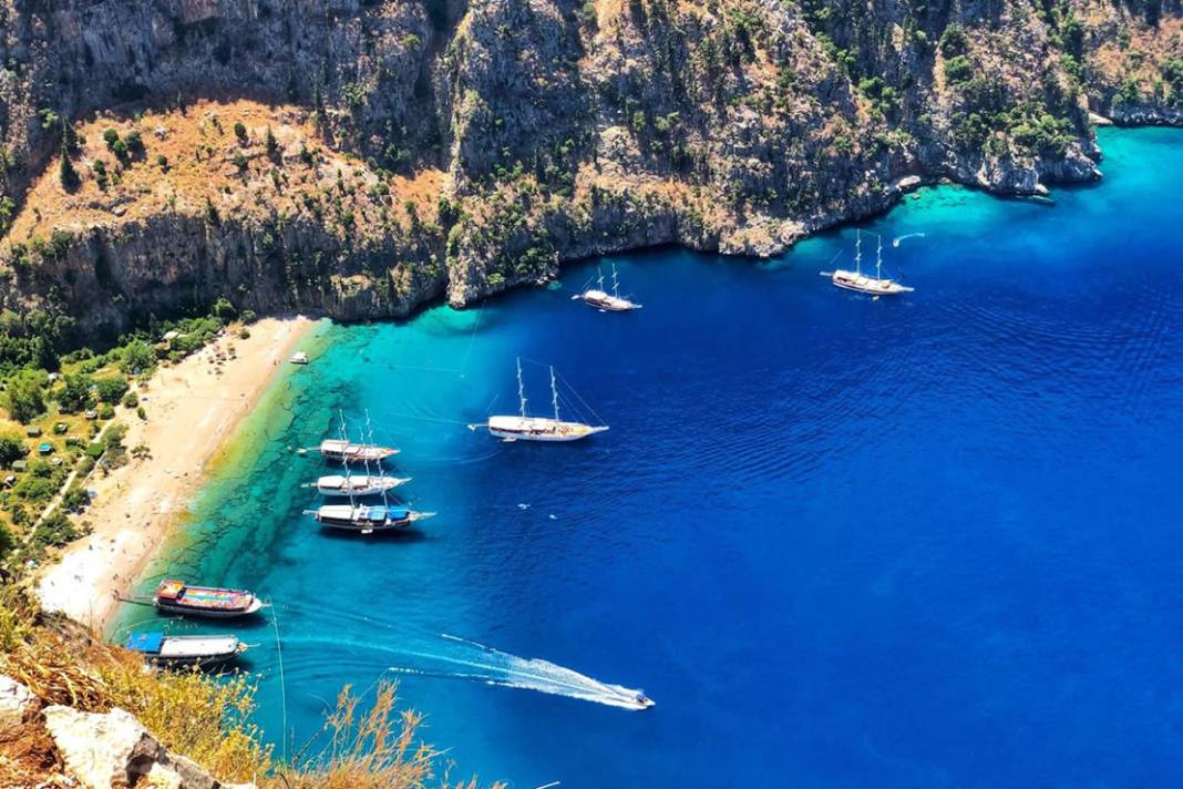 Alanya'da sonbahar bereketi, Karadeniz'de biten sezon Alanya'da yeniden başladı 2