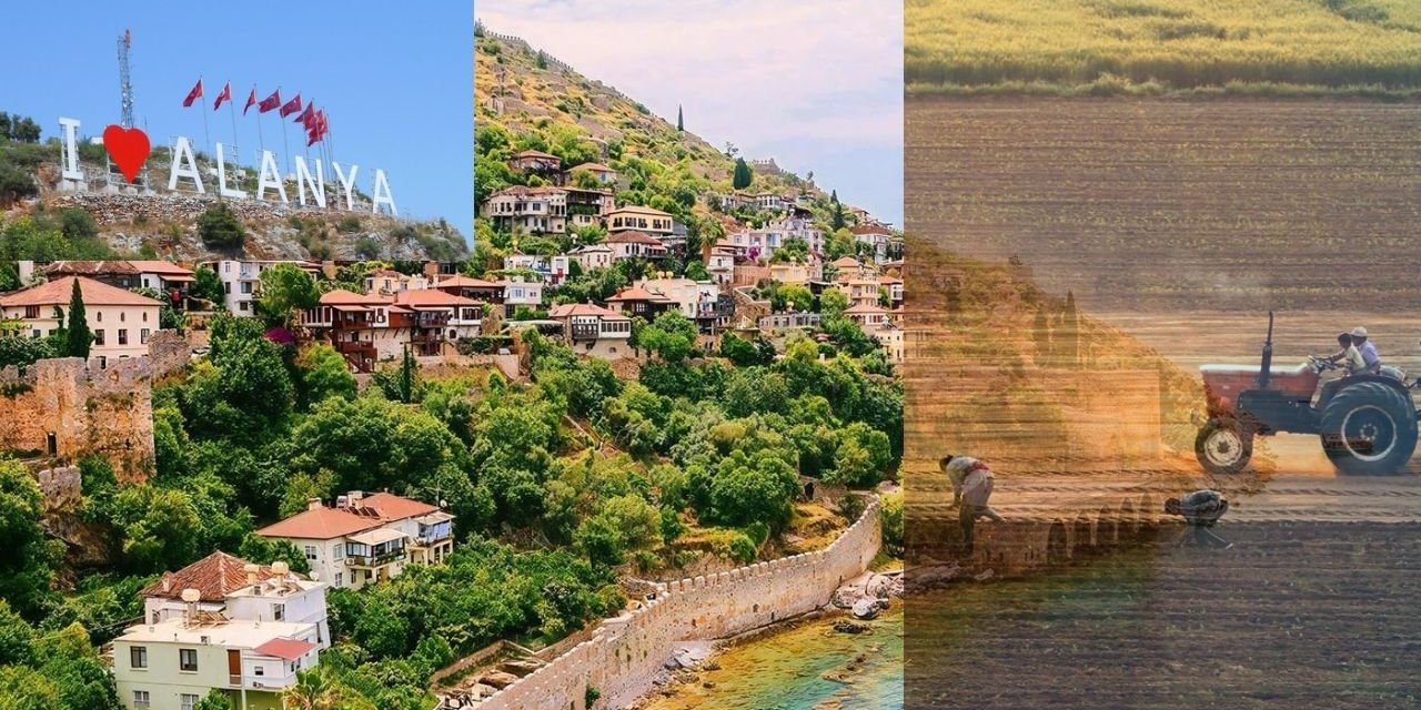 Alanya üreticinin son kalesi de yerle bir oldu