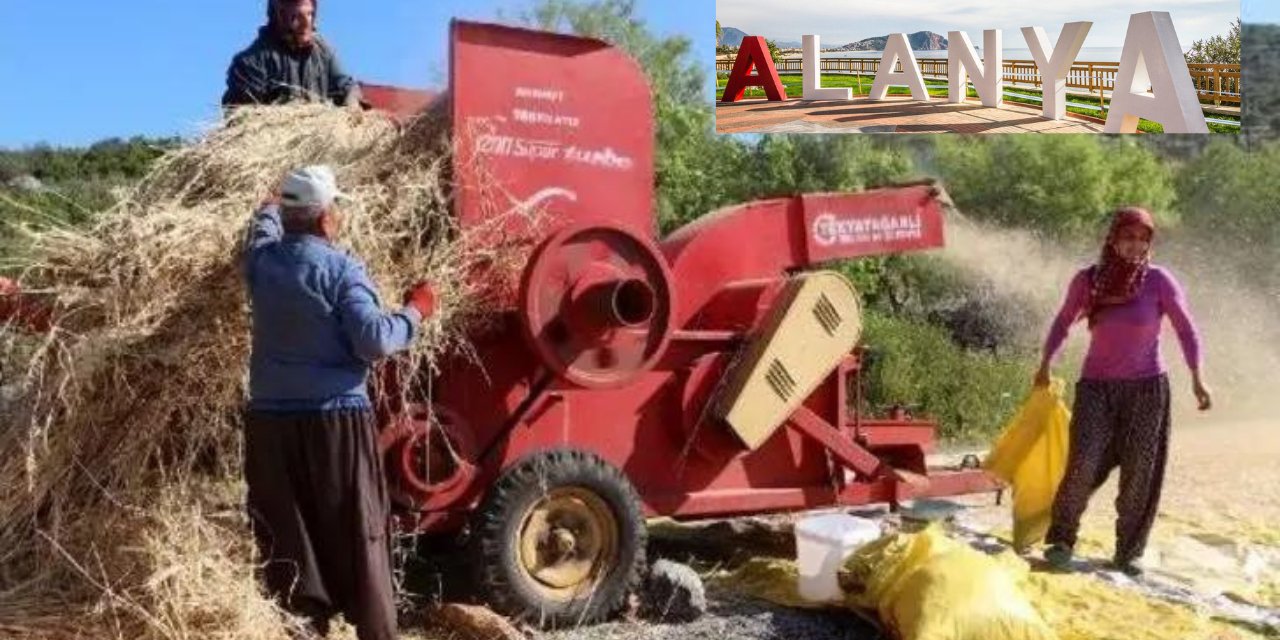 Alanyalı üreticiye Göktepe tarafından çağrı var