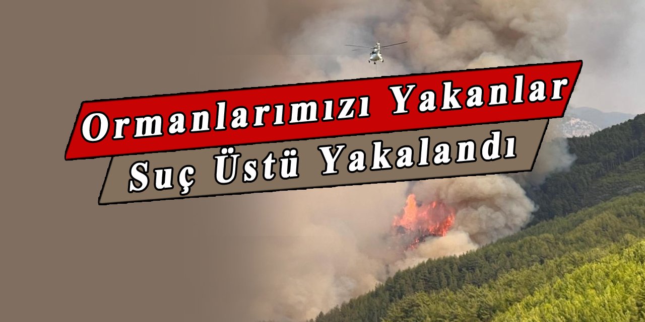 Ormanlarımızı yakanlar yakalandı