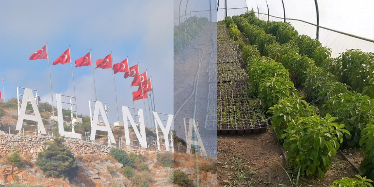 500.000 Türk lirası maliyete ulaştı! Alanya artık destek bekliyor!